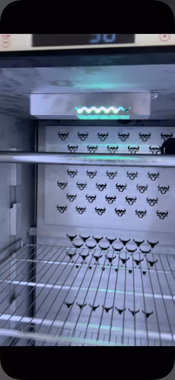 Beef Dry Aging Fridge Meat Maturing Fridge Dry Aging Refrigerator