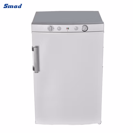 Smad 미니 소형 LPG/12V/전기 실외 단일 도어 냉장고 가격